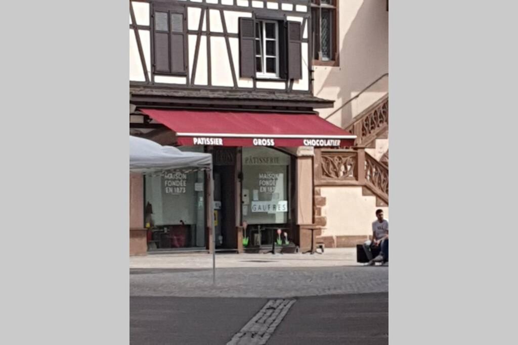 Appartement Très Bel Et Moderne 5pers T3 73m2 Sélestat